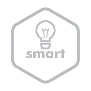 smart